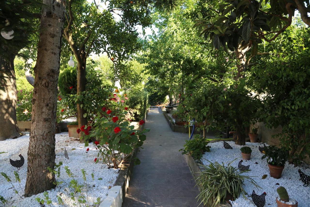 B&B Villa Gemini Sant'Agnello Esterno foto