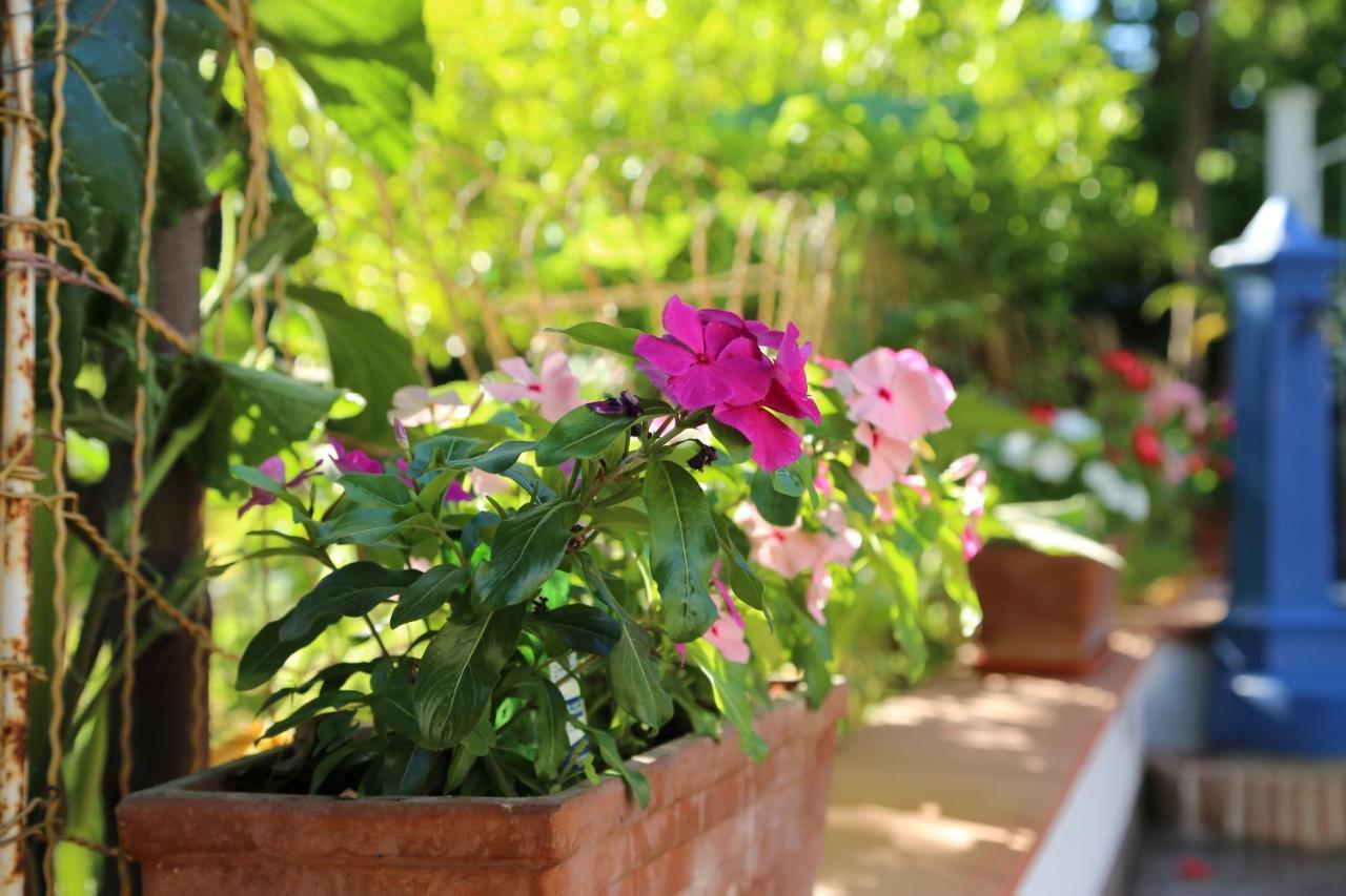B&B Villa Gemini Sant'Agnello Esterno foto