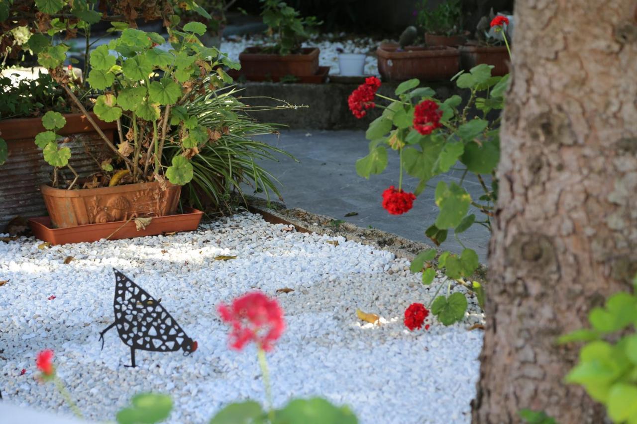 B&B Villa Gemini Sant'Agnello Esterno foto